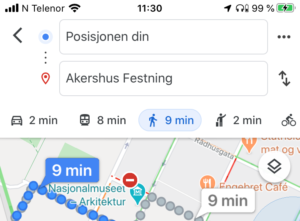 Skjermdump av google maps