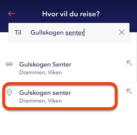 Eksempel reisesøk