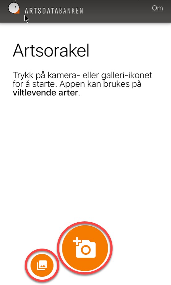 Hjemskjerm appen