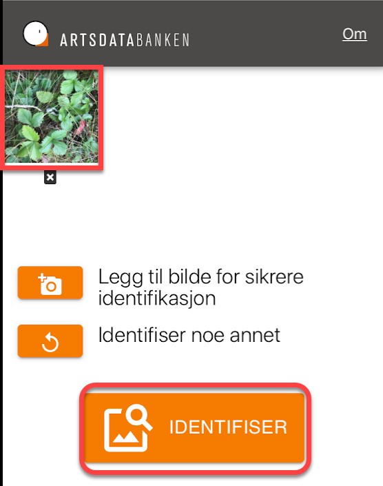 Identifiser bildet