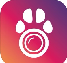 PetCam-app logo