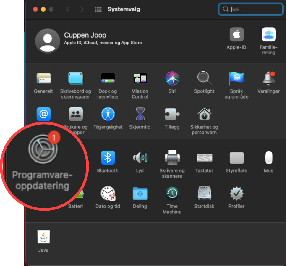 Systemvalg med Programoppdaterings ikonet