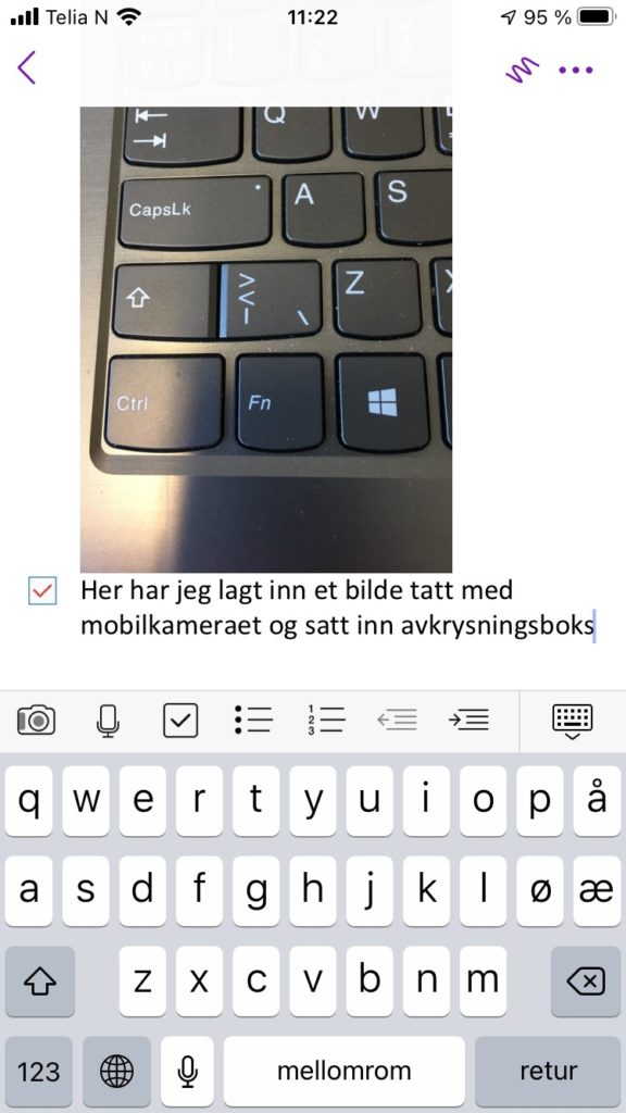 OneNote -bilde limt inn i notatet