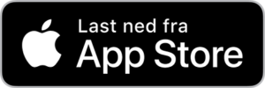 App store logo