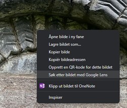 Google lens eksempel med høyreklikk på bilde
