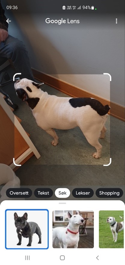 Google lens eksempel på søk fra kamera på Android