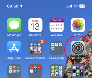 Skjermbilde av iPhone med Innstillinger-ikonet