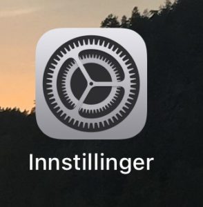 Innstillinger ikon