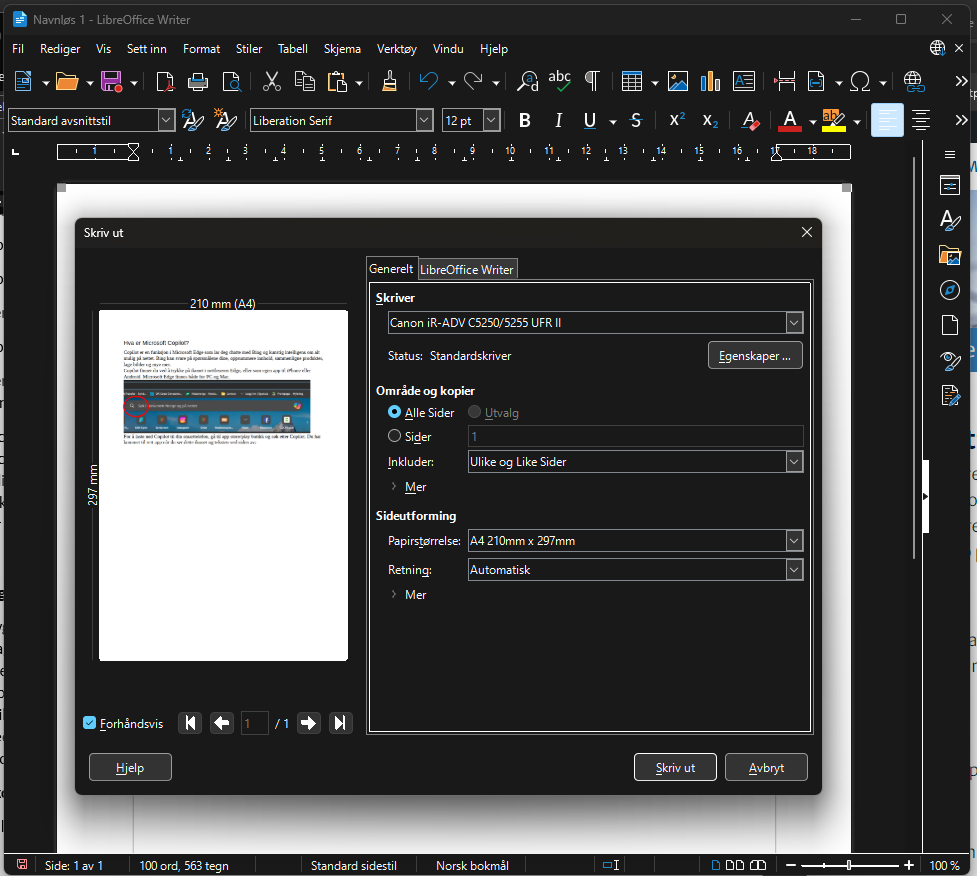 Skjermbilde av utskrift fra LibreOffice