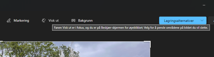 Skjermdump som viser hvor Visk ut valget er plassert