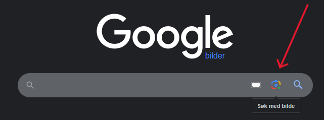 Skjermbilde av Google søkefelt med markering av bildesøk