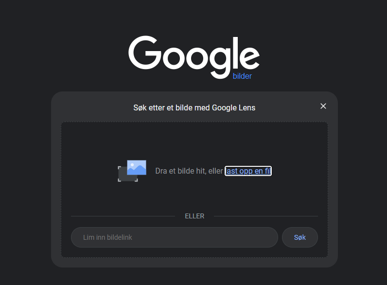 Skjermbilde av google søkefelt og opplasting av bilder