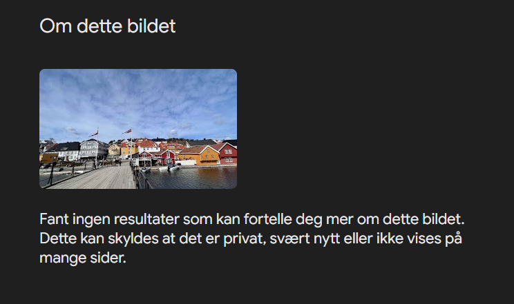 Skjermbilde av nøyaktig treff i Google bildesøk